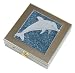 Health & Personal Care : Dolphin Vitamin Case Large