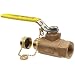 Apollo 70-100-HC Series Bronze Ball Valve, Two Piece, Inline, Lever, NPT Female x Hose