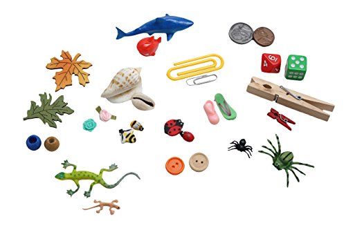 Similar Objects Matching Game - Preschool and Kindergarten Matching Activity with Miniature Objects - early learning toylanguage materials