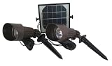Solar Spotlight Set