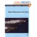 Marine Mammals of the World: A Comprehensive Guide to Their Identification