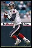 David Carr (With Football) Sports Framed Poster Print - 24