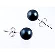 AAA Quality Round 7-7.5mm Akoya SaltWater cultured Black Pearl Earrings with 18K white Gold Mount