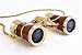 Electronics Milana Optics - Opera Glasses - Renaissance - With Chain and Flashlight - Burgundy Finish with Golden Rings REVIEWS