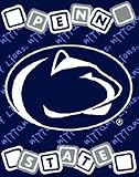 Penn State Nittany Lions 36x48 Baby Blanket / Throw