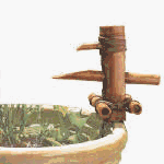 California Plastic #582008 Bamboo Planter Kit
