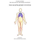 The Respiratory System (Organs of the Human Anatomy) (Systems of Human Anatomy) by  Thomas Braem