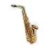 Vinci by Washburn VSA Alto Saxophone with Case and Accessories - Brass