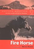 Fire Horse (Mustang Mountain)