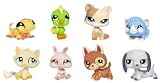 Littlest Pet Shop Collector's  Starter  Pack