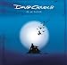 Music : On an Island (CD/DVD)