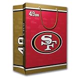 San Francisco 49ers Team Logo Gift Bag (Medium)