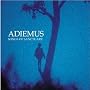 Adiemus: Songs of Sanctuary