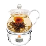 Tea Beyond Teapot Fairy with Tea Warmer Cozy
