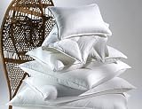Set of Two Euro Square, Higher Quality Luxurious Down Alternative Soft Pillow 26 By 26 - Alpine Pillow...