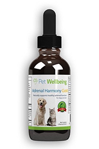Pet Wellbeing - Adrenal Harmony Gold For Dogs- Natural Support for Adrenal Dysfunction and Cushing s - 2oz (59ml)