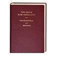 The Greek New Testament / A Concise Greek-English Dictionary of the New Testament (Greek Edition)
