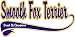 Smooth Fox Terrier Breed of Champion Apron
