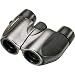 Olympus Roamer 10x21 DPC I Compact Porro Prism Binocular (Gray)