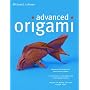 Advanced Origami