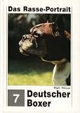 Deutscher Boxer