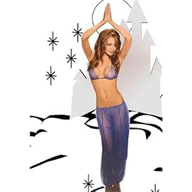 Genie Costume Includes Harem Pants and a String Bra Top with Trim One Size in Royal