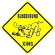 BLOODHOUND XING sign * street dog pet caution
