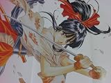 Sakura Wars Illustration & Data Book