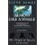 Almost Like a Whale: The 'Origin of Species' Updated