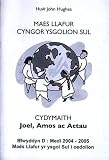 Maes llafur Cyngor Ysgolion Sul : cydymaith Joel, Amos ac Actau