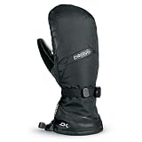 DAKINE Mens Rover Gortex Mitt DAKINE Mens Rover Gortex Mitt
