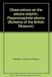 Observations on the electra dolphin, Peponocephala electra