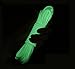 ZJchao Paracord Survival Rope 550 Luminous in The Dark 25Ft 50Ft 100Ft Strong Nylon Tactical Cord for Camping Hiking Outdoor Emergency (Blue, 100ft)