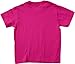 Ann Arbor T-shirt Co. Big Girls' AWESOME DAUGHTERS GET PROMOTED TO BIG SISTER