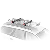 Yakima FatCat 6 w/Locks