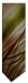 Men's J. Jerry Garcia Neck Tie Junglescape Limited Edition Rare