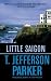Book cover of Little Saigon.