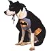 Pet Supplies : Batman Pet Costume (Small)
