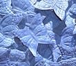 Butterfly Shaped Silk Rose Petals Wedding Favors - 200 Ct - Powder Blue