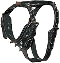 5/8" Black Spiked Leather Harness - X-Small (Fits neck size 13" - 16") (Body size 15" - 18")