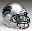 Eastern Illinois Panthers Schutt Mini Helmet - COLLEGE ATHLETICS Sports Merchandise