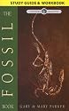 The Fossil Book (Wonders of Creation)
