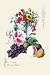 Art Poster, Fruit and Flowers - 12x18