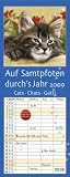 Auf Samtpfoten durchs Jahr 2009: Planer mit 4 Spalten. Mit Ferienterminen