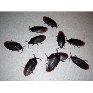 12- fake roaches prank novelty cockroach bugs look real