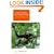 The Theory of Evolution (Canto)