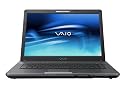 Sony VAIO VGN-FE790PL 15.4" Laptop (Intel Core Duo Processor T5500, 1 GB RAM, 160 GB Hard Drive, DVD+-R Dbl Layer Drive)