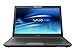 Sony VAIO VGN-FE880E/H 15.4-inch Laptop (Intel Core 2 Duo 1.66 GHz Processor, 2 GB RAM, 160 GB Hard Drive, DVD RW Drive, Vista Premium)