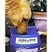 Pet Supplies : Aqua Dish