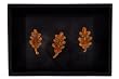 Three Oak Leaves
